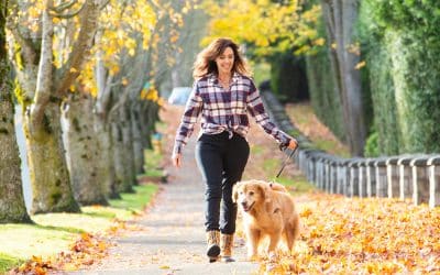 Improve Your Relationship With Exercise Through Mindful Movement